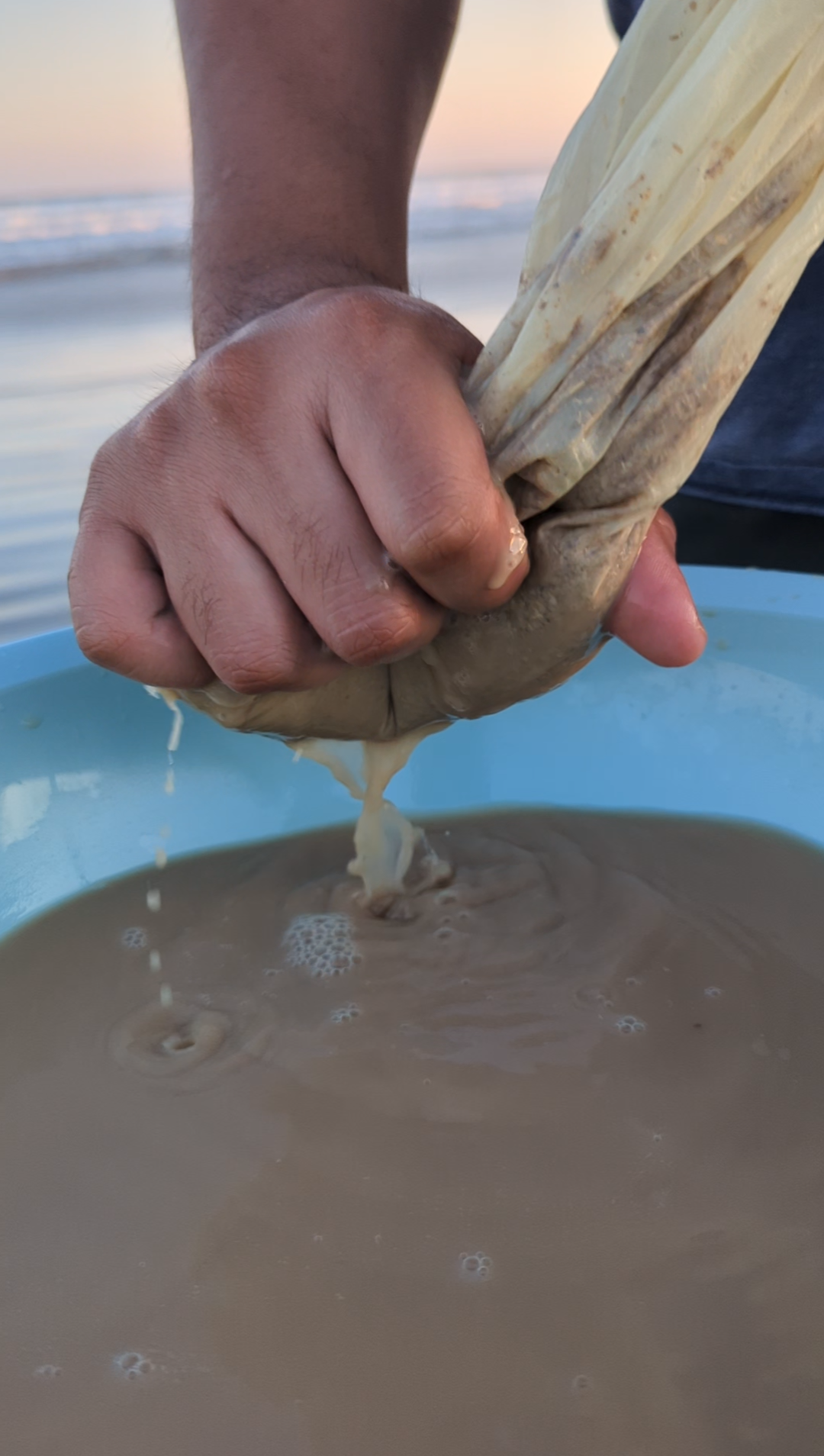 Traditional Grind Fijian Waka Kava 16oz